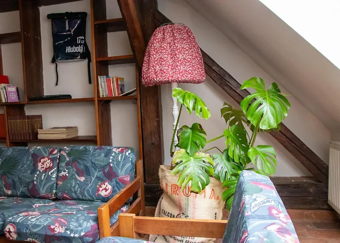 Podkrovi V Kabinetu Cb * Τσέσκε Μπουντεγιόβιτσε